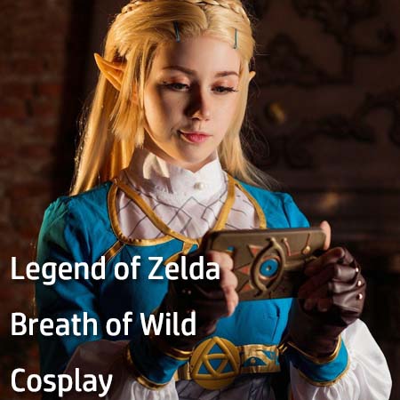 Legend of Zelda Breath of Wild Cosplay Costumes