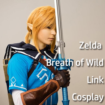 Zelda Breath of Wild Link Cosplay